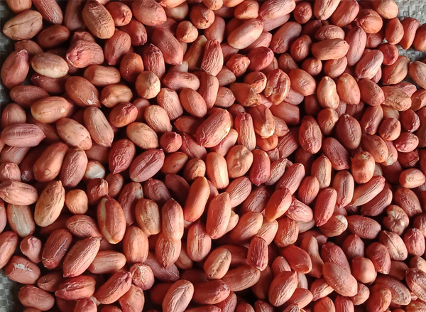 Large miscellaneous peanuts